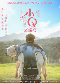 成人看片在线
